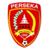 Perseka Kandangan 队徽